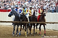 VBS_1288 - Palio di Asti 2024_2